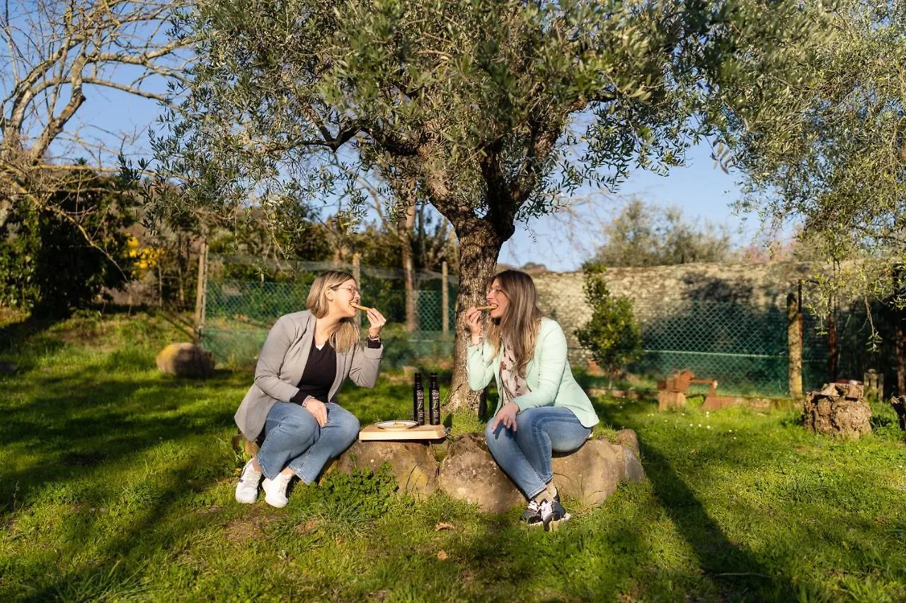 Agriturismo Bellandi Santa Lucia  Santa Lucia (Lucca)