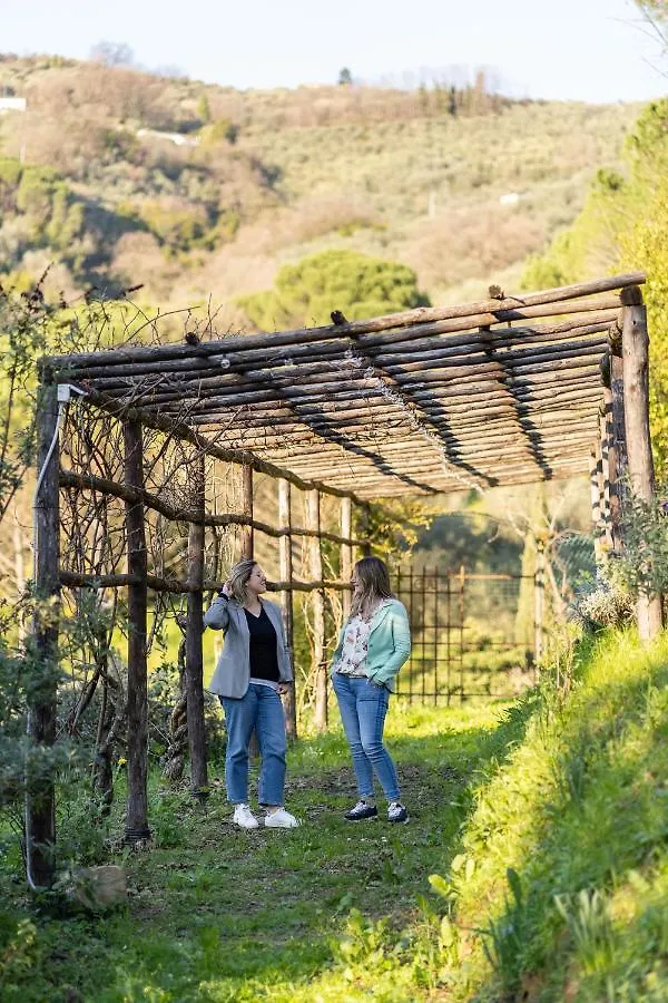 Agriturismo Bellandi Santa Lucia  Italy